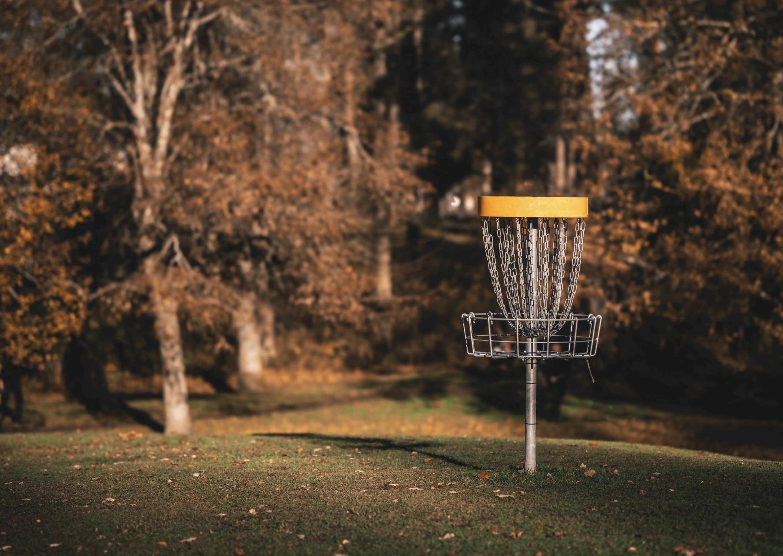 Mastering Wooded Courses: Effective Disc Golf Strategies