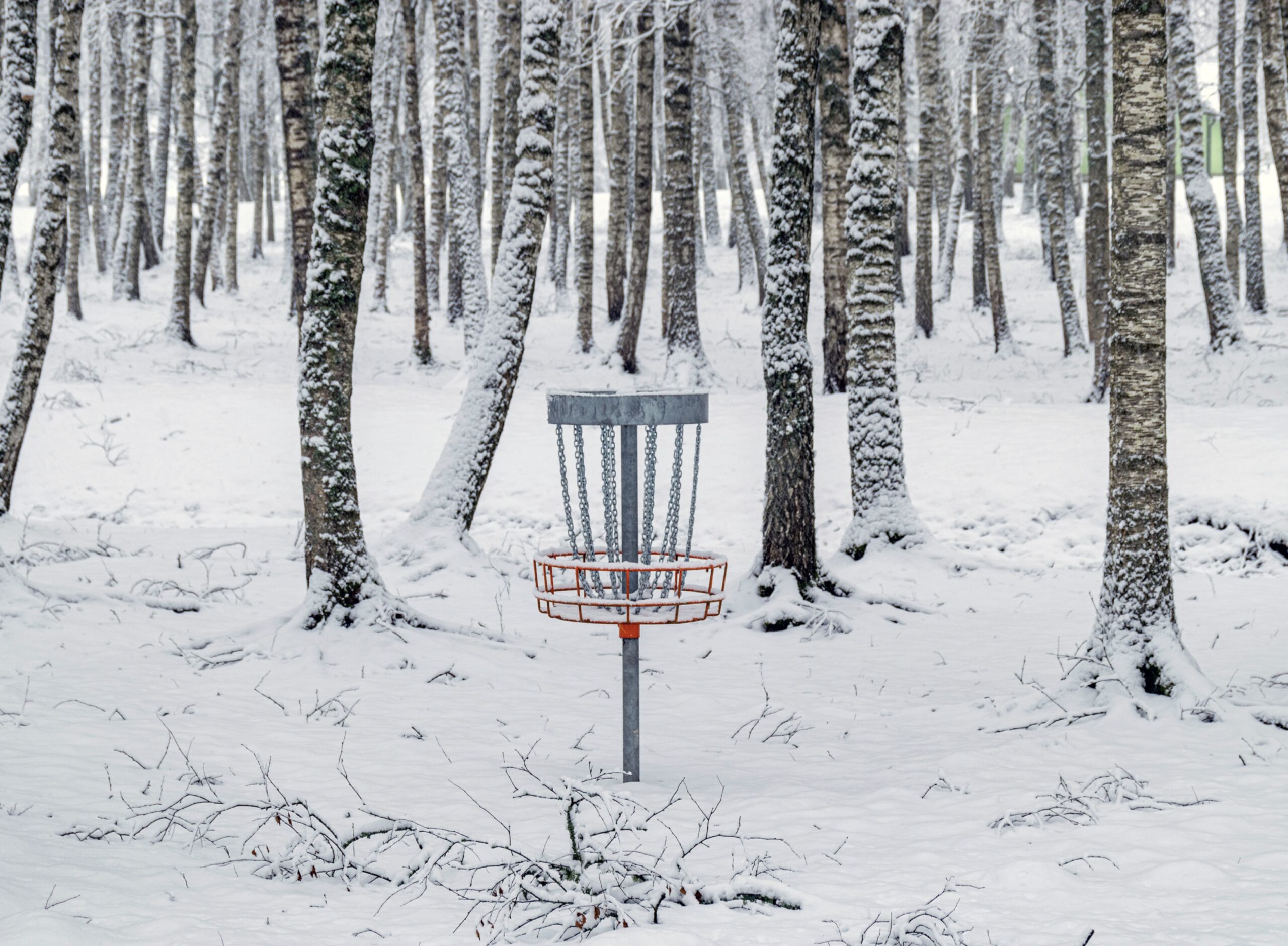 Mastering Disc Golf in Rain and Snow: Essential Tips for Success