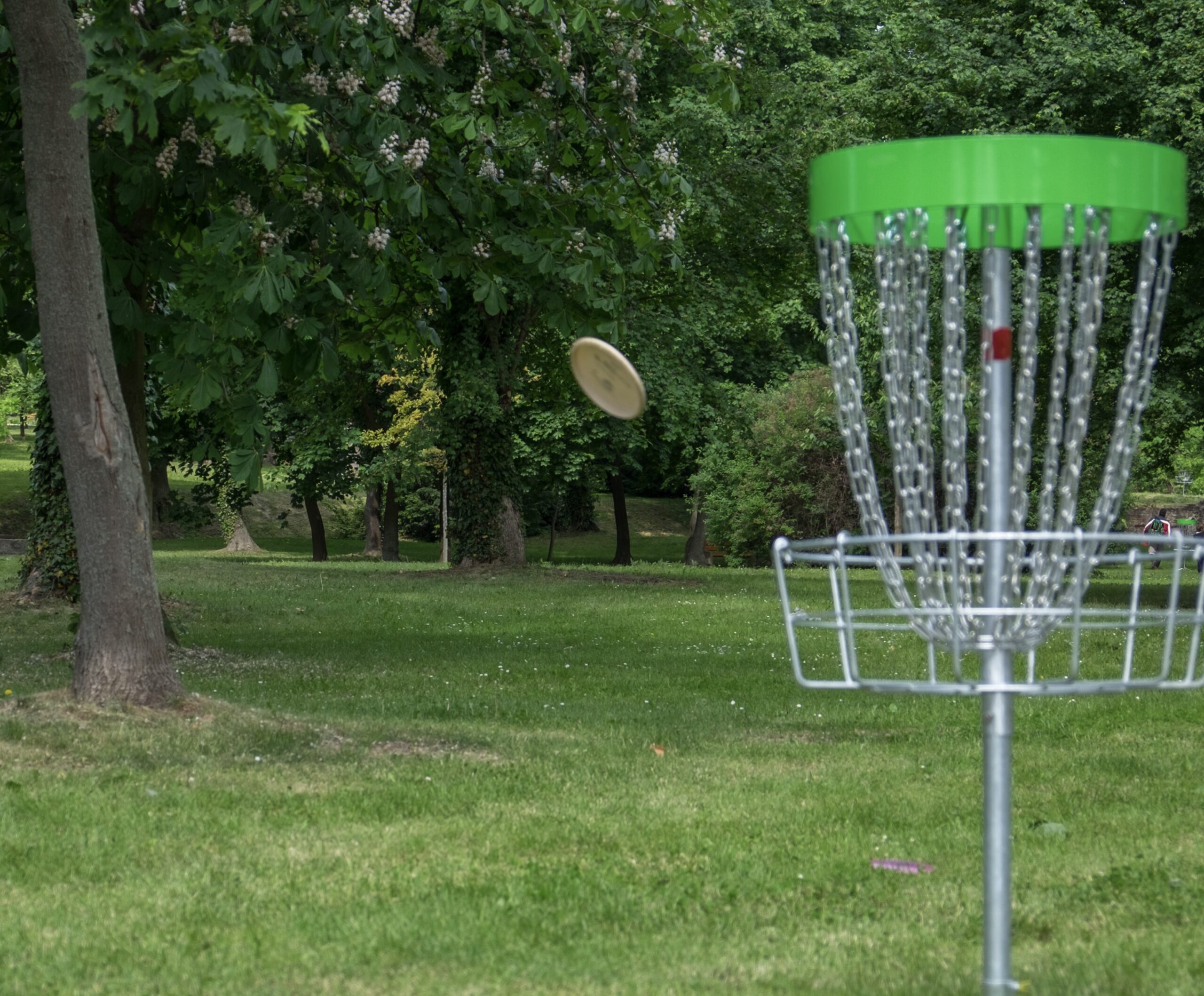World of Disc Golf Roller Shots and Their Variations