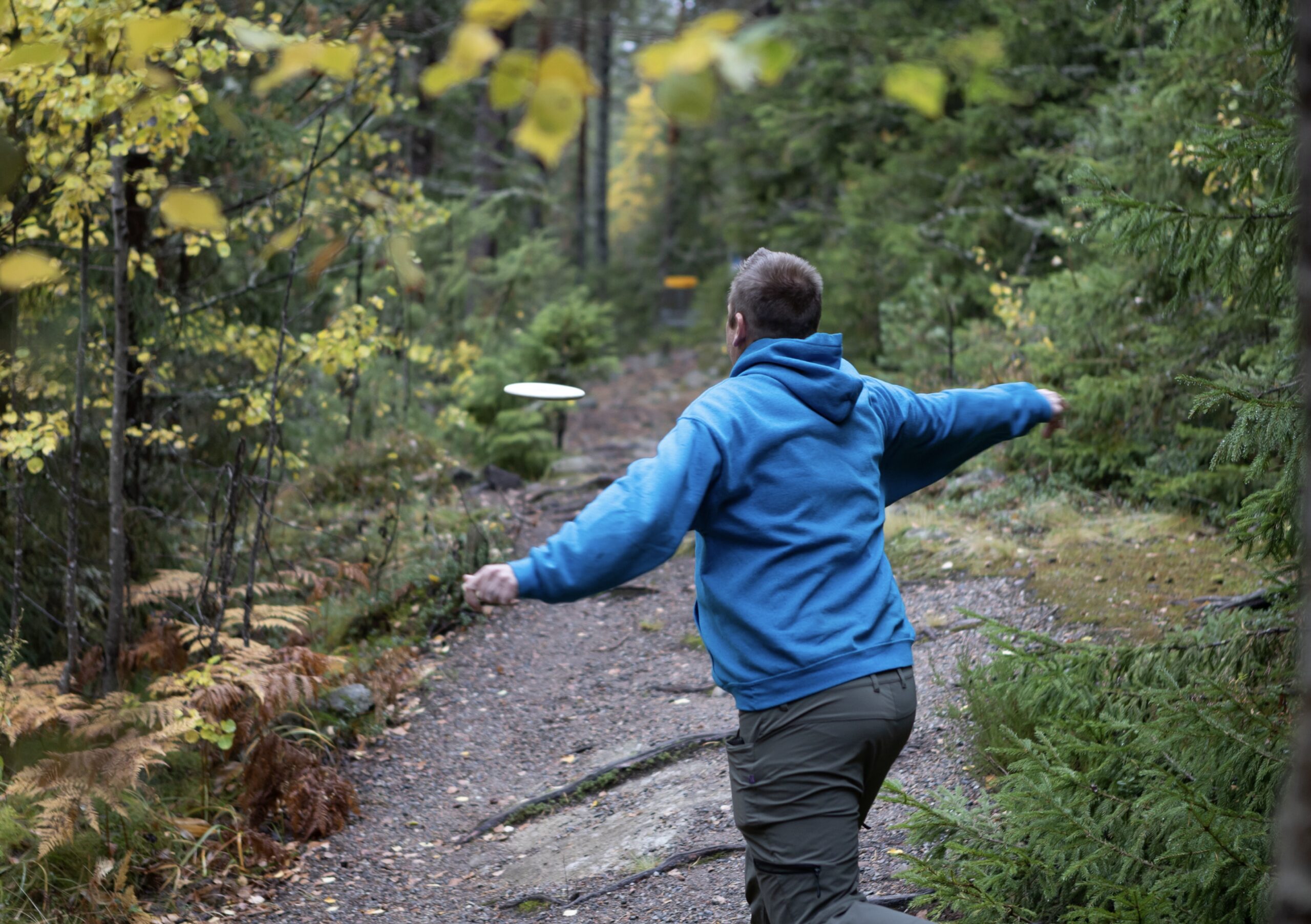 Disc Golf Recovery Shots: Mastering the Art of Getting Out of Trouble